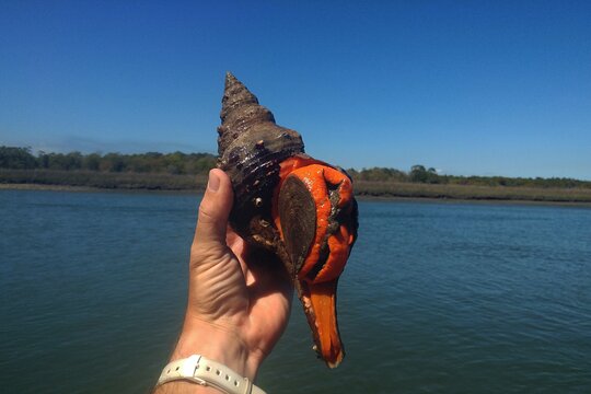 Tour image 11